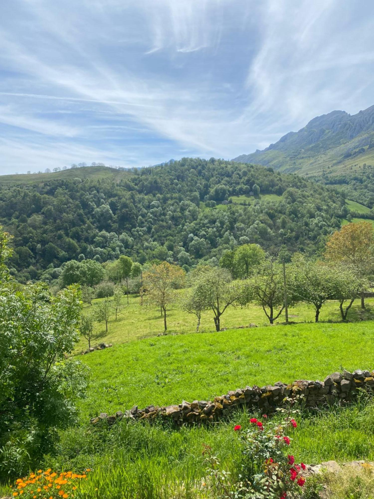 Triana Appartement Berodia Buitenkant foto